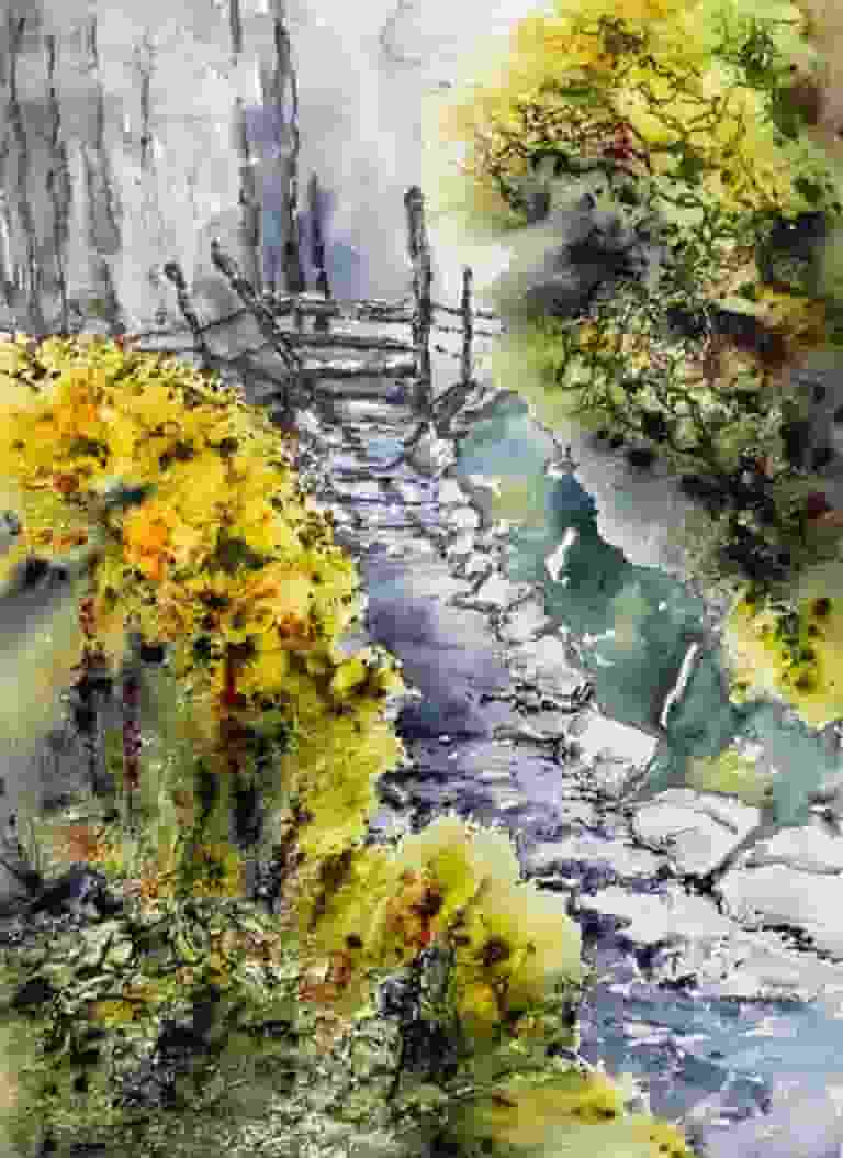 Wentcliffe - secret glade