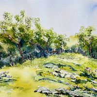  Northern upland limestone pastures 
