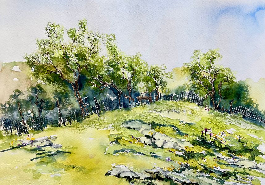Northern limestone pastures provide a wonderful ecosystem 