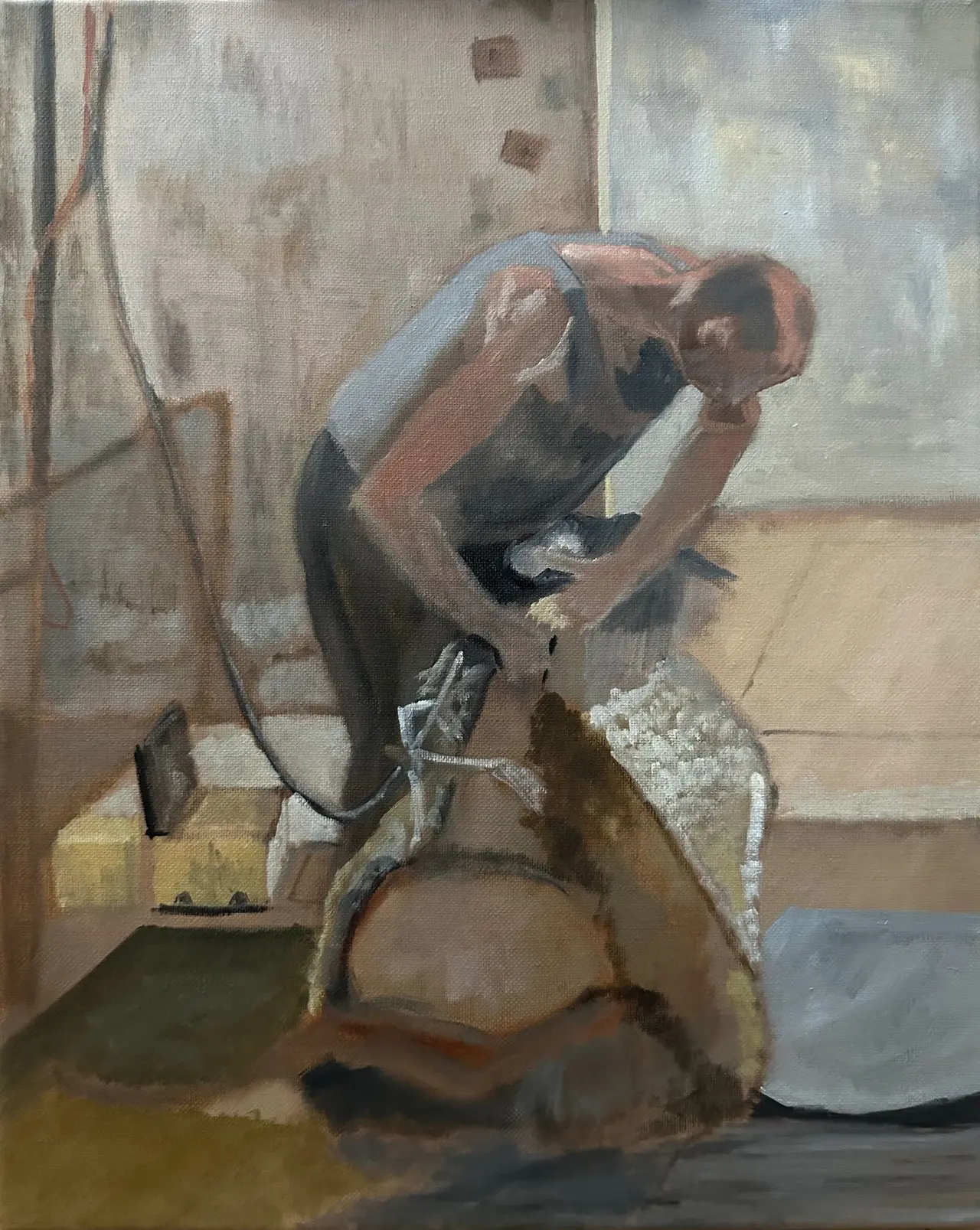 Oil painting in progress depicting a sheep being hand sheared at Grange Farm in the Yorkshire Dales, by Jonathan Little