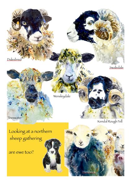 Tea towel image entitled Northern sheep gathering by Bev Parker Cum-bye Arts