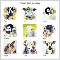 Counting sheep in Bowland