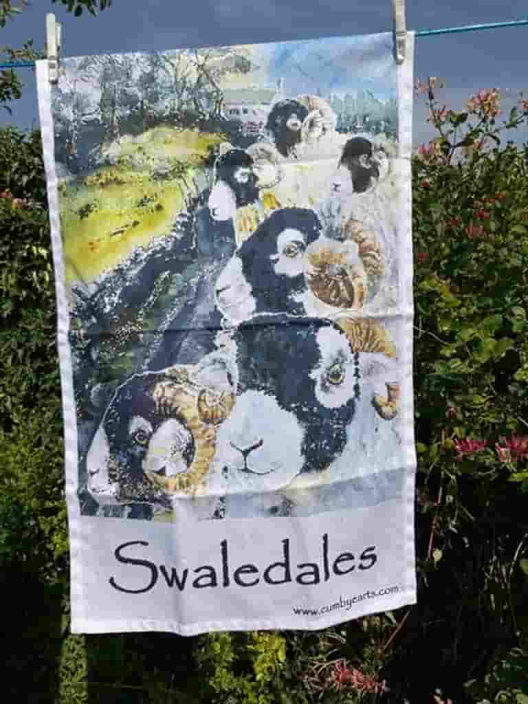 ‘Swaledales' is a collage of different images of the Swaledale breed