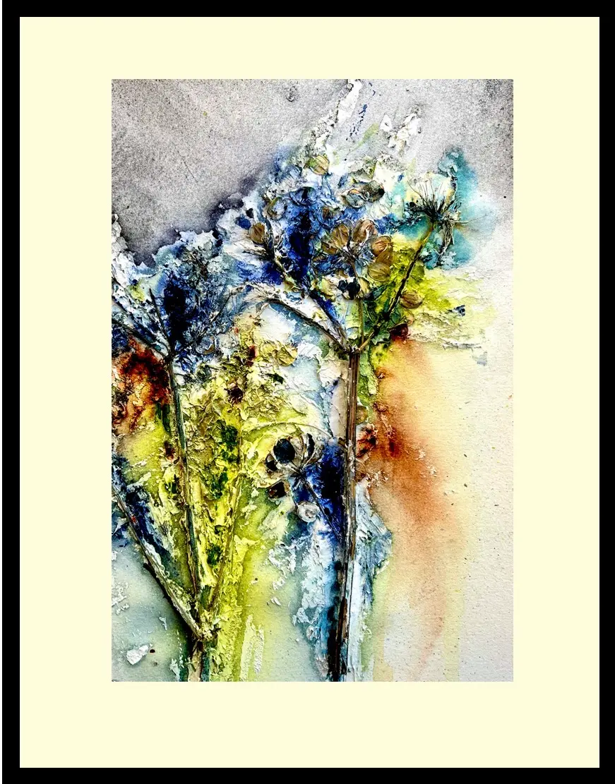 Umbellifer dispersal