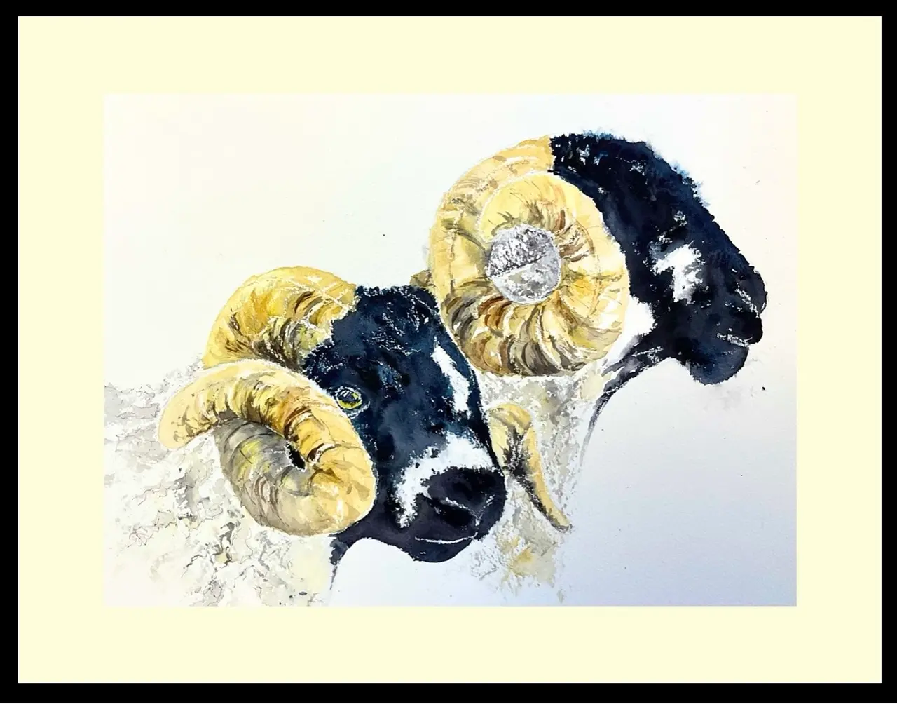 Lonk Rams
