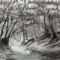 Path through Flasby Woods to Sharp Haw, Charcoal drawing by Jonathan Little