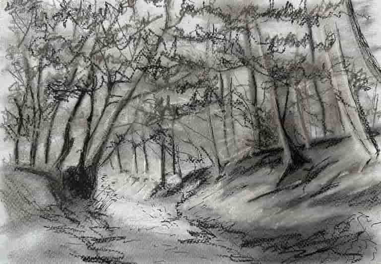 Path through Flasby Woods to Sharp Haw, Charcoal drawing by Jonathan Little