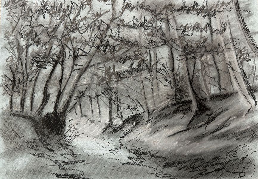 Path through Flasby Woods to Sharp Haw, Charcoal drawing by Jonathan Little