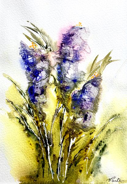 Focus on Crocus