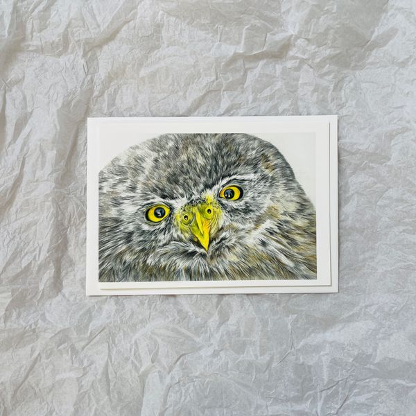 coloured pencil and graphite drawing of an owl on a greetings card by Katrina Thompson