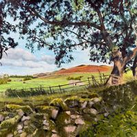 Yorkshire Dales landscape with backlit oak trees and early autumn colours near Flasby and Sharp Haw, inspiration for a painting by Jonathan Little