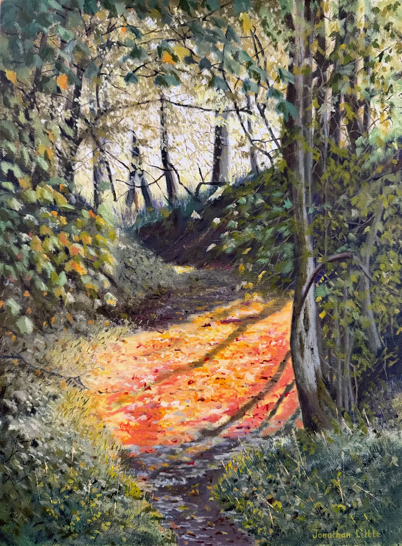 Oil paintingnof autumn sunlight illuminating fallen leaves among the trees in Flasby Woods, Yorkshire Dales, by Jonathan Little