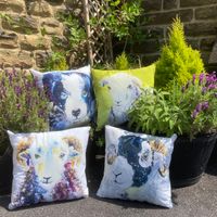 Various Cushions