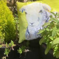 Tuppence the Herdy cushion