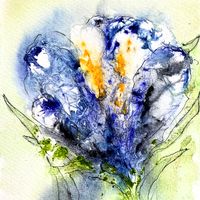 Irises