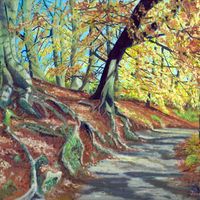 Strid Woods, Bolton Abbey, an autumn walk with autumn colours in the beach trees