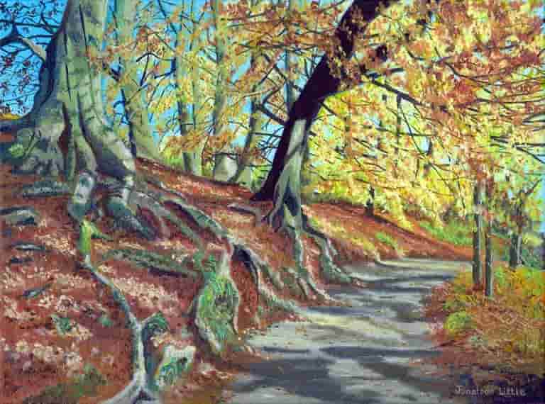Strid Woods, Bolton Abbey, an autumn walk with autumn colours in the beach trees 