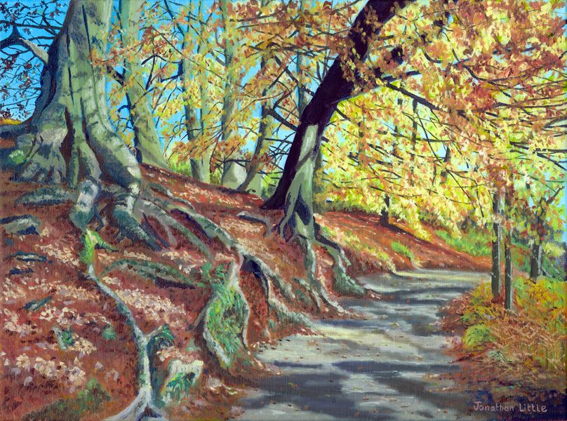 Strid Woods, Bolton Abbey, an autumn walk with autumn colours in the beach trees 