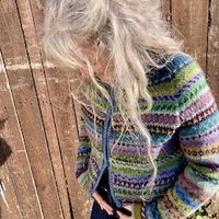 Bottom up, colour work steeked cardigan with raglan sleeves