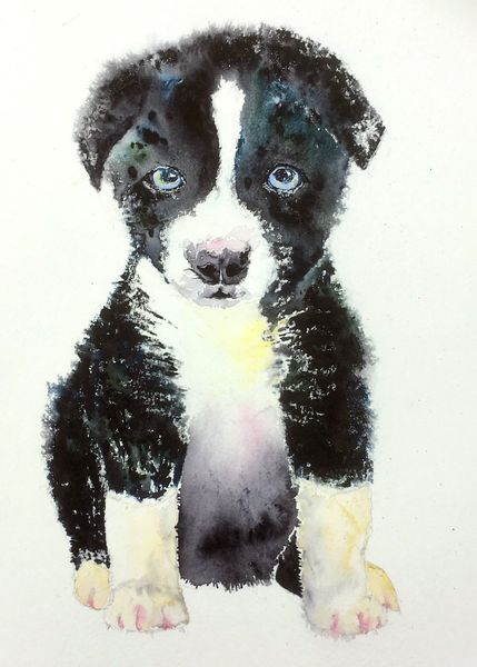 Wanna be a sheepdog by Bev Parker of Cum-bye arts