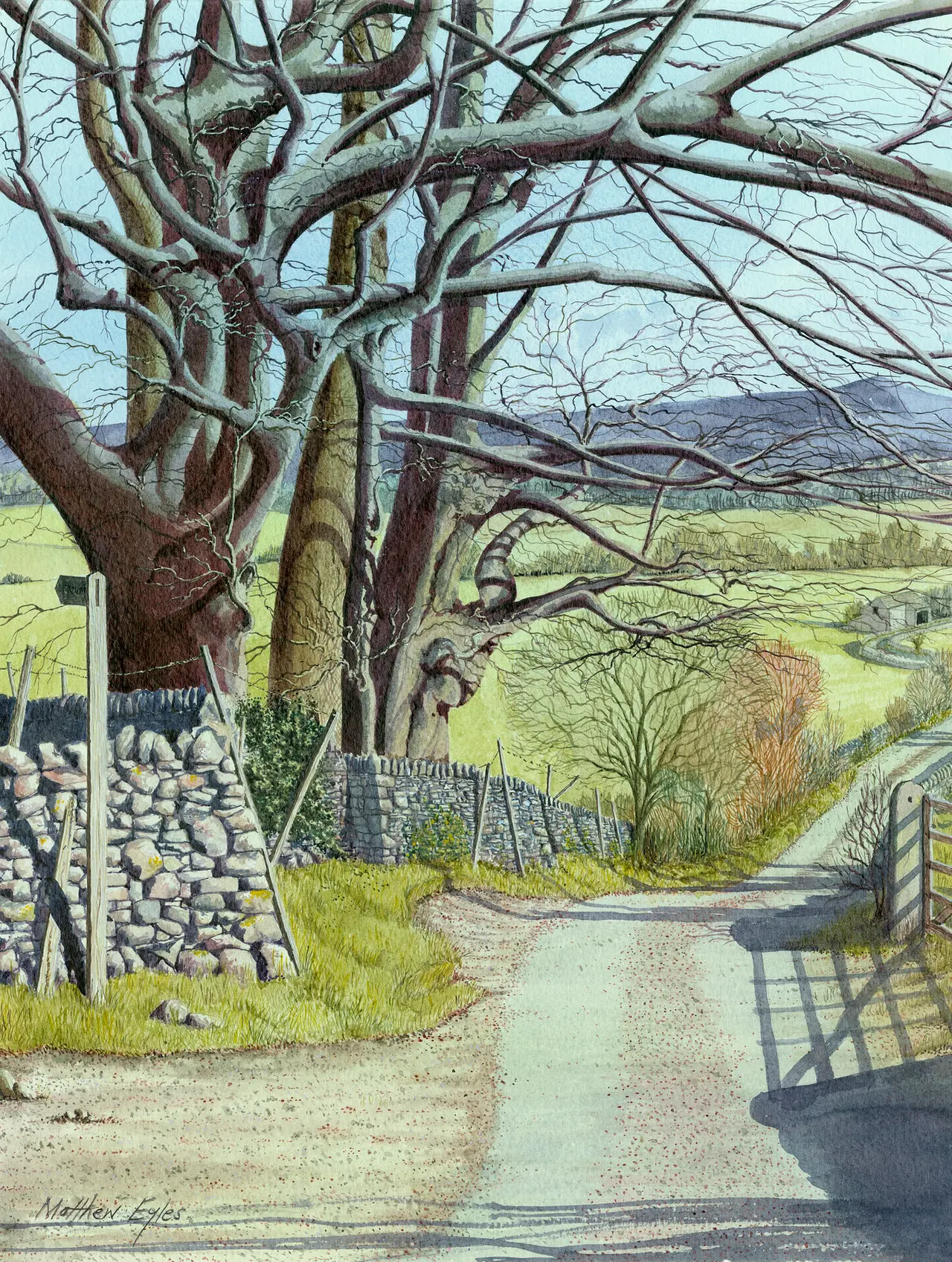 Winter's End on Hills Lane