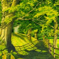 Evening Light on Winterburn Lane an original painting by Matthew Eyles showing evening shadows under trees