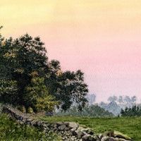 Twilight at the Edge of the Woods - an original painting by Matthew Eyles