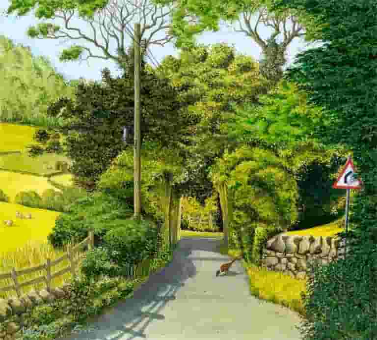 A Summer Evening on Stangs Lane
