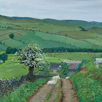May at Moorside Farm Flasby on the way to Rhylstone, an original oil painting of the Yorkshire Dales by Jonathan Little
