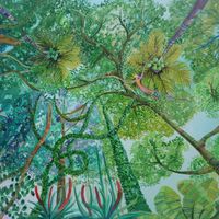 I lay on the forest floor looking up at the trees and my spirit soars