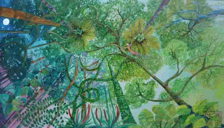 I lay on the forest floor looking up at the trees and my spirit soars