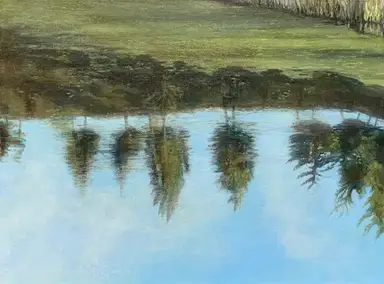 Grimwith Beck