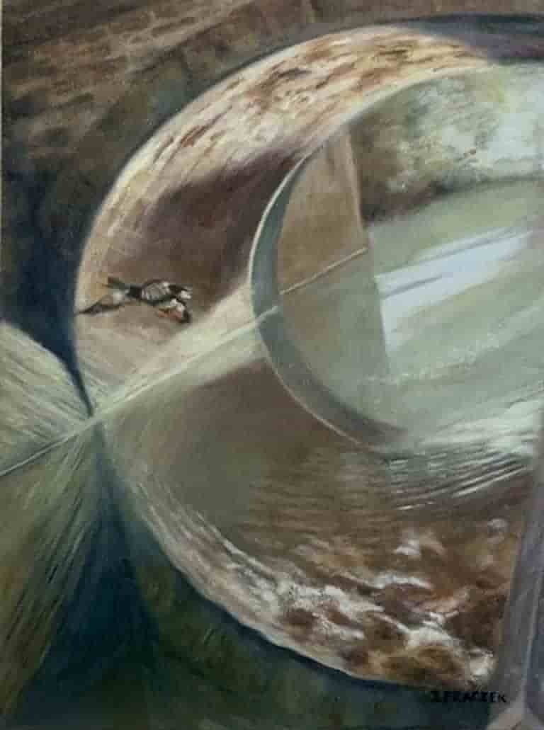 In Flight