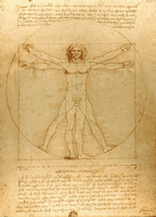 Vitruvian Man by Leonardo da Vinci