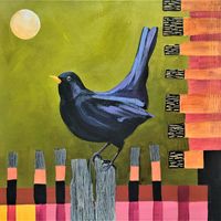 Blackbird sitting on a fence