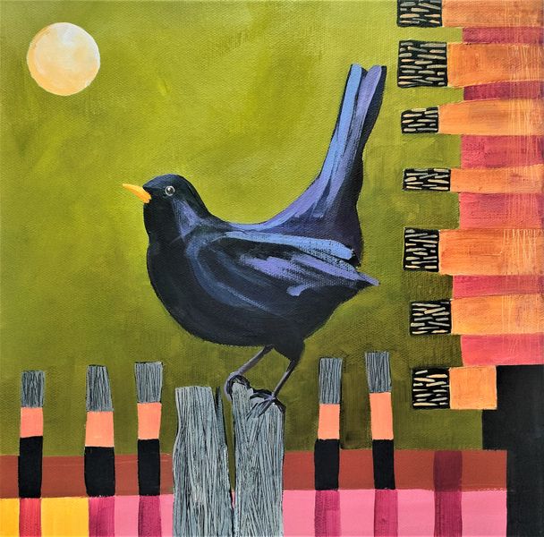 Blackbird sitting on a fence