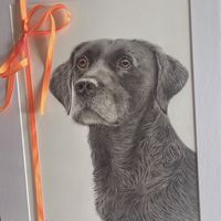 coloured pencil drawing of a black Labrador in mount