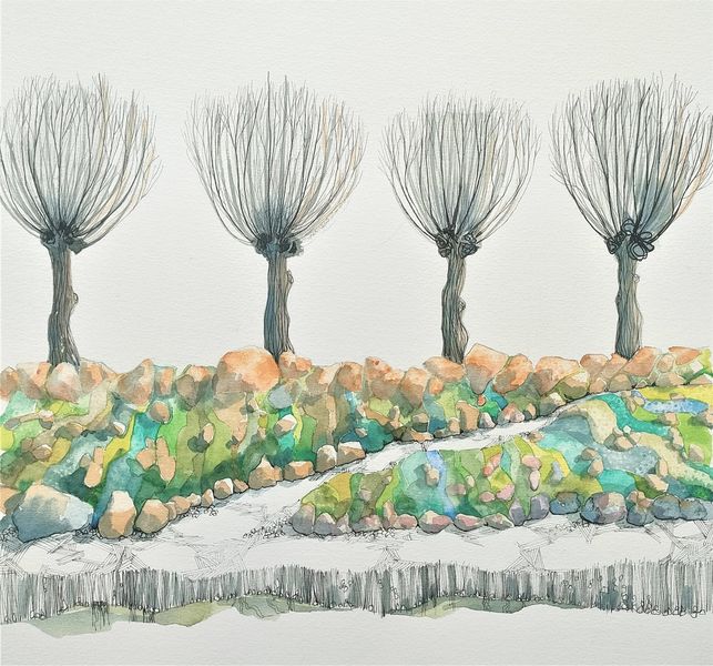 A row of pollard willows next to rocky path.