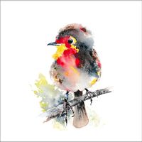 Round Robin cushion