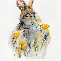 Rabbit Cushion