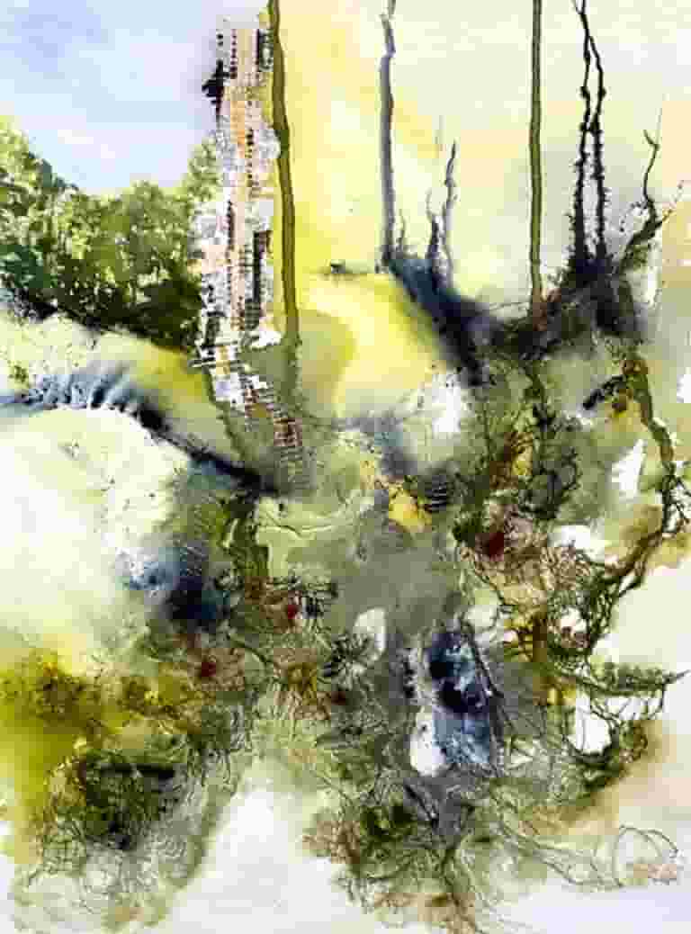 Natural regeneration
