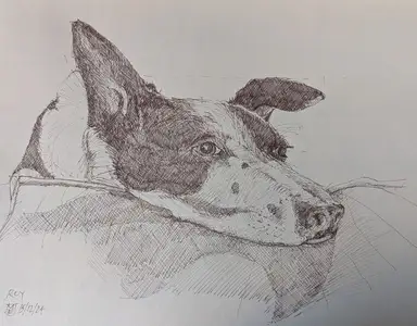 Roy