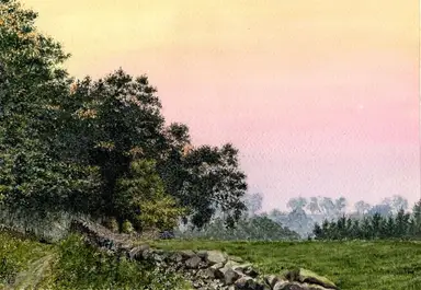 Twilight at the Edge of the Woods