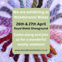 Wonder Wool Wales Event Logo