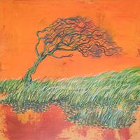 windblown tree in windy landscape