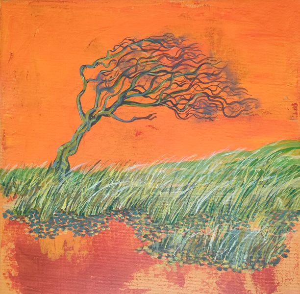 windblown tree in windy landscape