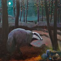 A badger in the woods at night