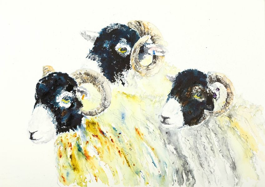 Swaledale three-shears