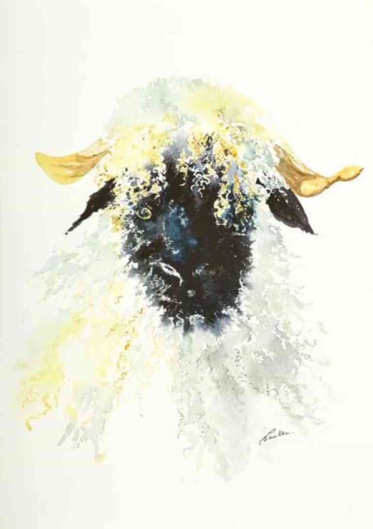 Swiss Valais Blacknose sheep