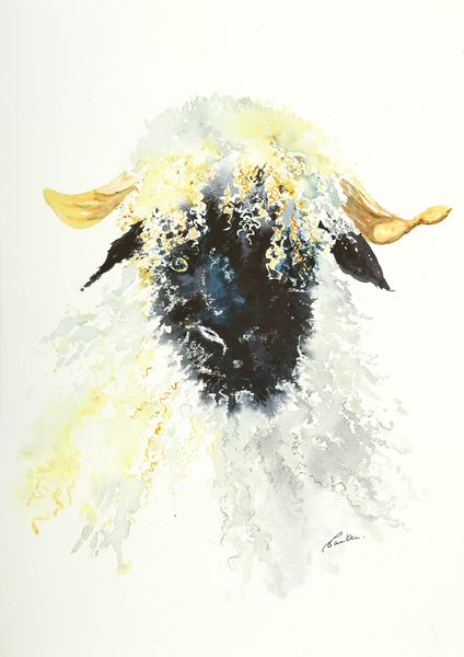 Swiss Valais Blacknose sheep